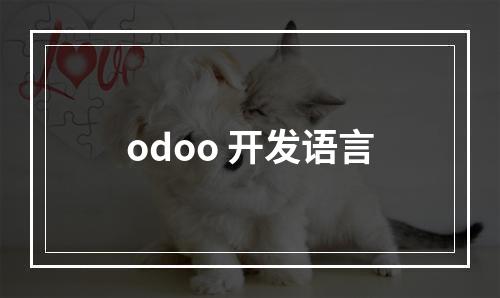 odoo 开发语言