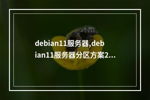 debian11服务器,debian11服务器分区方案2022年更新(debian 服务器)
