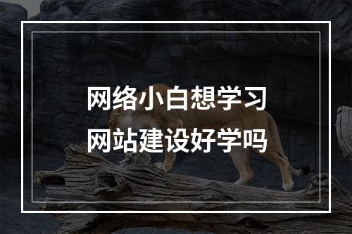 网络小白想学习网站建设好学吗