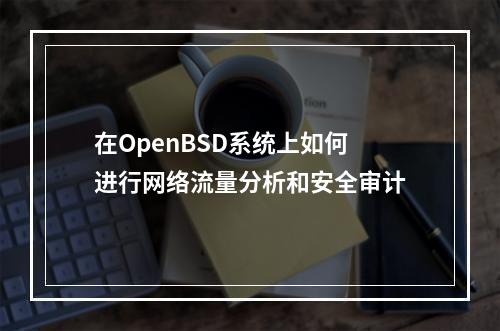 在OpenBSD系统上如何进行网络流量分析和安全审计