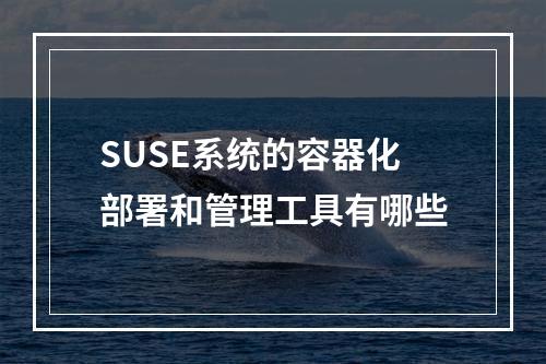 SUSE系统的容器化部署和管理工具有哪些