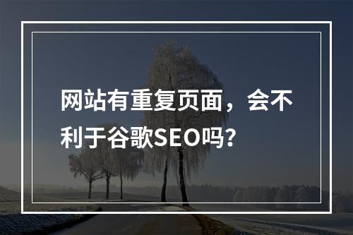 网站有重复页面,会不利于谷歌SEO吗?