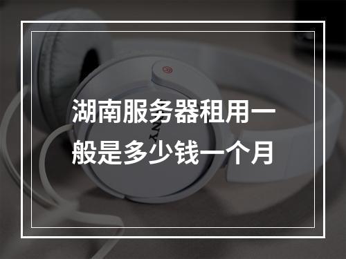 湖南服务器租用一般是多少钱一个月