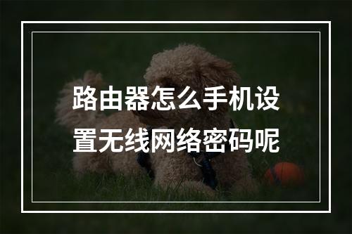 路由器怎么手机设置无线网络密码呢