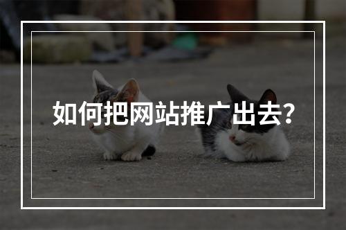 如何把网站推广出去?