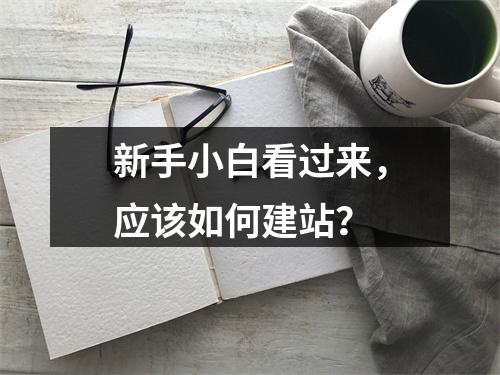 新手小白看过来,应该如何建站?