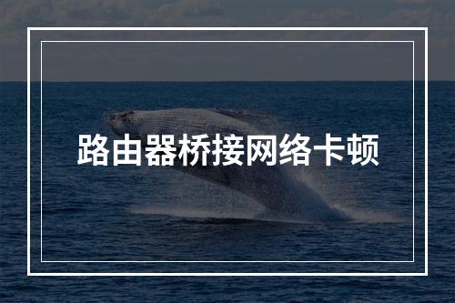 路由器桥接网络卡顿