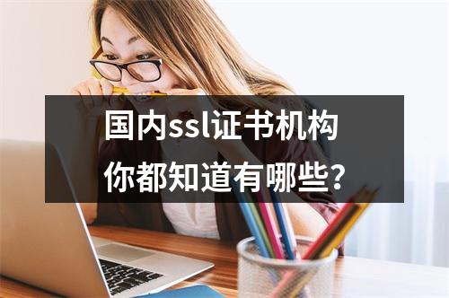 国内ssl证书机构你都知道有哪些?