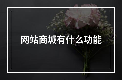 网站商城有什么功能
