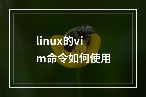 linux的vim命令如何使用