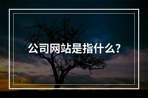 公司网站是指什么?