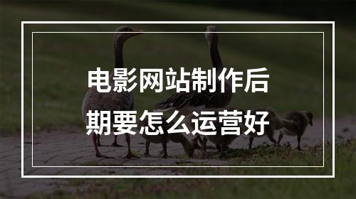 电影网站制作后期要怎么运营好