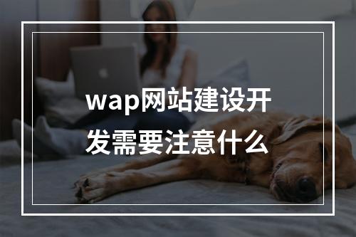 wap网站建设开发需要注意什么