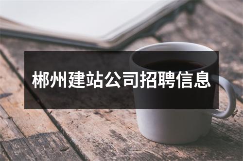 郴州建站公司招聘信息
