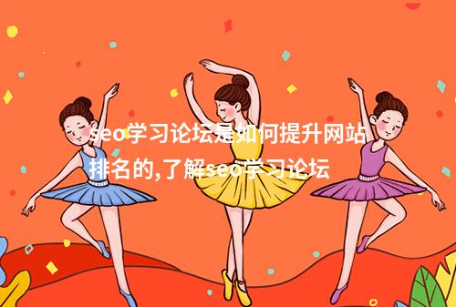 seo学习论坛是如何提升网站排名的,了解seo学习论坛