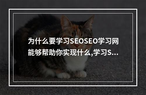 为什么要学习SEOSEO学习网能够帮助你实现什么,学习SEO的好去处