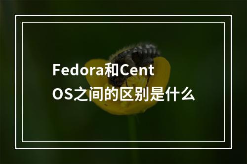 Fedora和CentOS之间的区别是什么