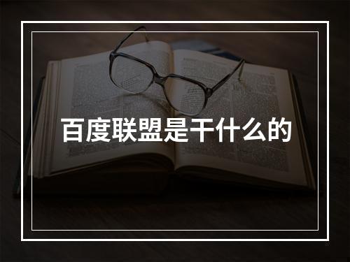 百度联盟是干什么的