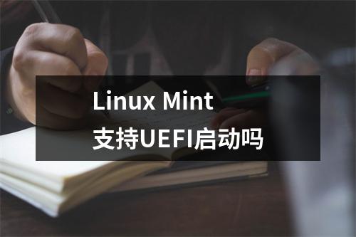 Linux Mint支持UEFI启动吗