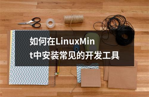 如何在LinuxMint中安装常见的开发工具