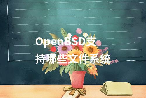 OpenBSD支持哪些文件系统