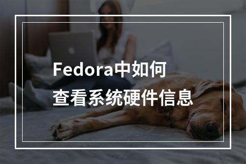 Fedora中如何查看系统硬件信息
