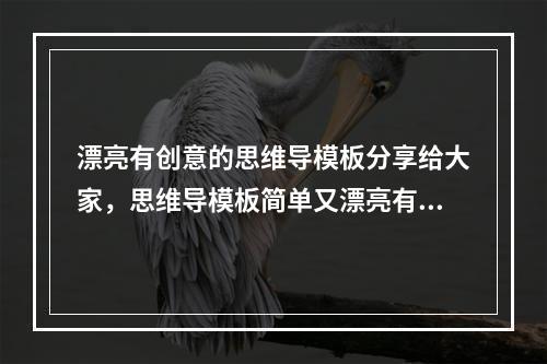 漂亮有创意的思维导模板分享给大家,思维导模板简单又漂亮有创意