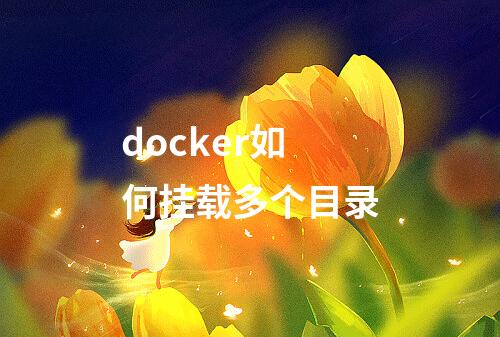 docker如何挂载多个目录