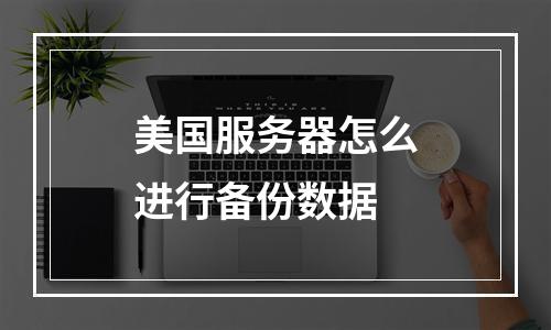 美国服务器怎么进行备份数据