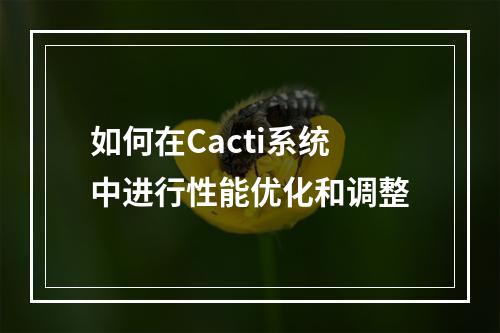 如何在Cacti系统中进行性能优化和调整