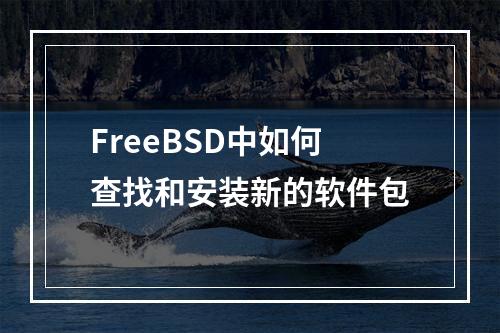 FreeBSD中如何查找和安装新的软件包