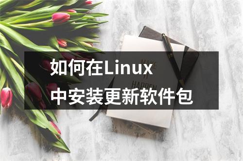 如何在Linux中安装更新软件包