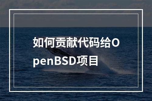 如何贡献代码给OpenBSD项目