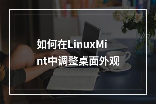 如何在LinuxMint中调整桌面外观