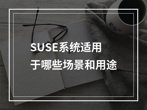SUSE系统适用于哪些场景和用途