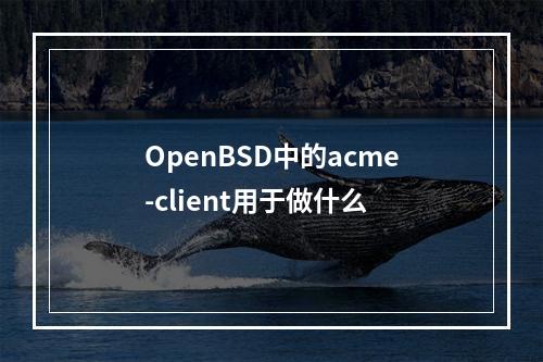 OpenBSD中的acme-client用于做什么