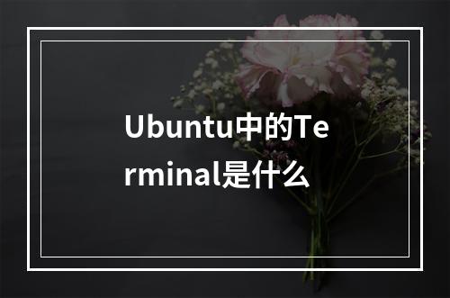 Ubuntu中的Terminal是什么