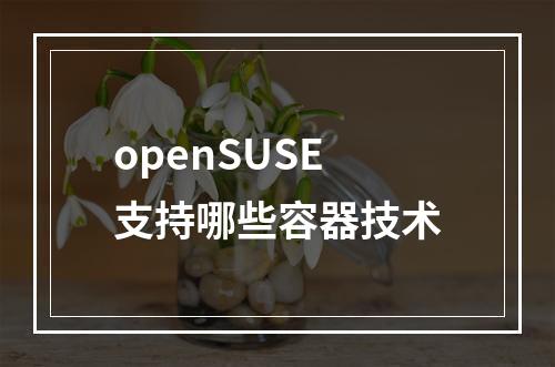 openSUSE支持哪些容器技术