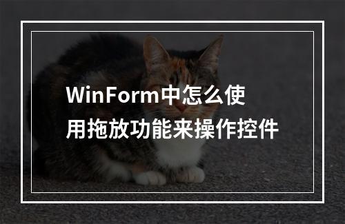 WinForm中怎么使用拖放功能来操作控件