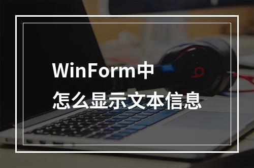 WinForm中怎么显示文本信息