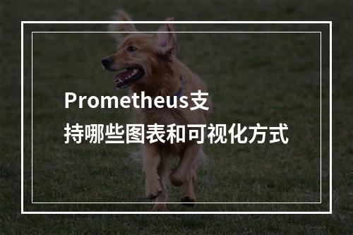Prometheus支持哪些图表和可视化方式