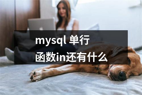 mysql 单行函数in还有什么