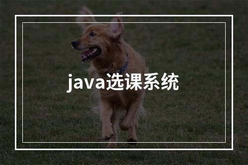 java选课系统