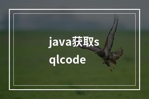 java获取sqlcode