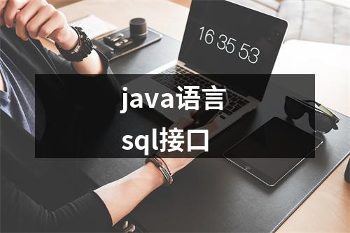 java语言sql接口