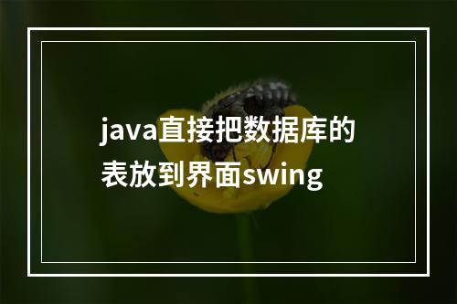 java直接把数据库的表放到界面swing