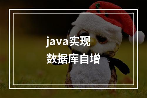 java实现数据库自增