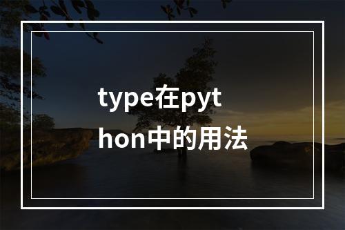 type在python中的用法