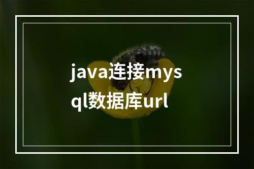 java连接mysql数据库url