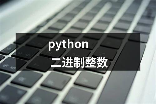python 二进制整数
